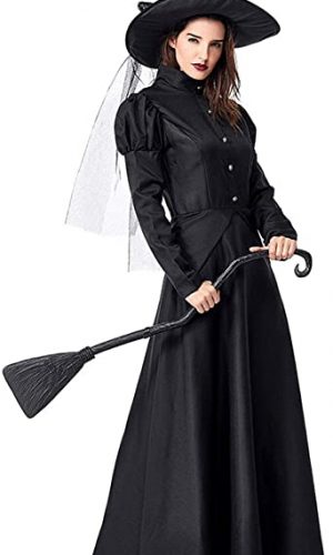 Adult Wicked Witch Costume