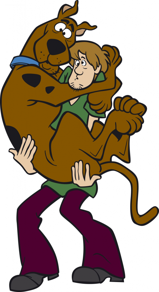 Duo Halloween Costumes - Scooby & Shaggy